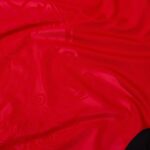 Albania 2025 Home Jersey  Fan Version - Image 3
