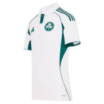Panathinaikos 2025/26 Home Jersey  Fan Version - Image 2