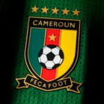 Cameroon 2025 Home Jersey  Fan Version - Image 3