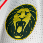 Cameroon 2025 Third Jersey  Fan Version - Image 2