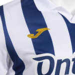 Leganés 2025/26 Home Jersey  Fan Version - Image 2