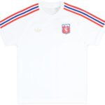 Lyon 2025/26 75th Anniversary Jersey – Fan Version