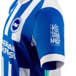 Brighton 2025/26 Home Jersey  Fan Version - Image 4