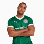 Palmeiras 2025/26 Home Jersey – Fan Version - Image 5