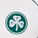 Panathinaikos 2025/26 Home Jersey  Fan Version - Image 4