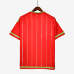 Wales 2015/16 Home Jersey – Retro Version - Image 6