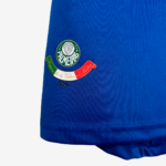 Palmeiras 2009/10 Third Jersey  Retro Version - Image 8
