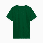 Palmeiras 2025/26 Home Jersey – Fan Version - Image 6