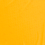 Ecuador 2025 Home Jersey Centenary  Fan Version - Image 4