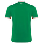 Ireland 2025 Away Jersey  Fan Version - Image 4