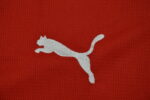 Austria 26 Home World Cup 2026 - Fan Version - Image 6
