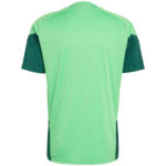 Mexico Training World Cup 2026 - Fan Version - Image 2