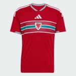 Wales 26 Home Jersey World Cup 2026 - Fan Version - Image 3