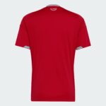 Wales 26 Home Jersey World Cup 2026 - Fan Version - Image 4