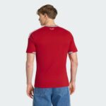 Wales 26 Home Jersey World Cup 2026 - Fan Version - Image 2
