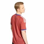 2026 Scotland Men's Stadium Away Soccer Jersey - Fan Version - Image 6