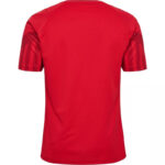 Denmark 22/23 I Home Jersey - Fan Version - Image 2