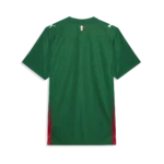 Palmeiras 2026/27 Home [Fan Version] Jersey - Image 2