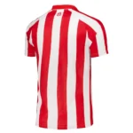 Sunderland 2026/27 Home [Fan Version] Jersey - Image 2