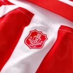 Sunderland 2026/27 Home [Long Sleeve Fan Version] Jersey - Image 5